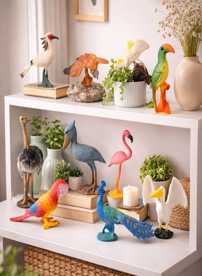 DTR Creation Pack of 10 Bird Figurines for Kids | Realistic Wild Bird Animal Toys | Educational Plastic Miniature Birds Set for Learning, School Projects & Home Décor - Image 2